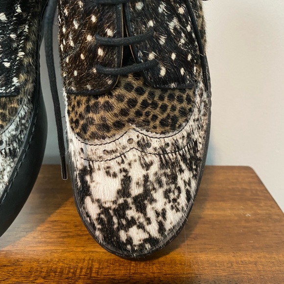 Cappelletti Lazio Sneaker - Picture 5 of 12